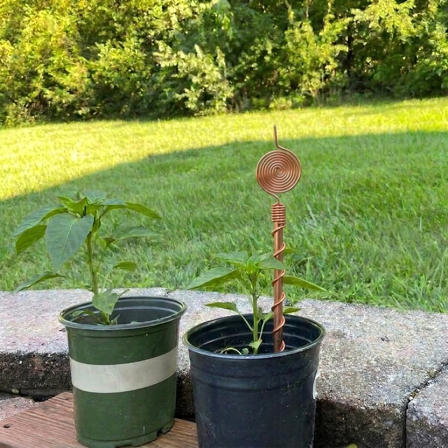 DAY 1