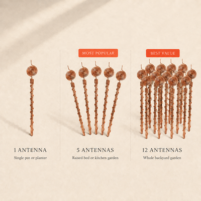 Electro-Culture Pure Copper Antenna